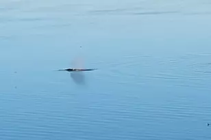 3817 Bells Beach Rd, Langley, WA 98260 - Photo 7