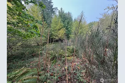 0 Tr 1&2 E Agate Road, Shelton, WA 98584 - Photo 9