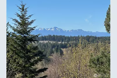 0 Tr 1&2 E Agate Road, Shelton, WA 98584 - Photo 3