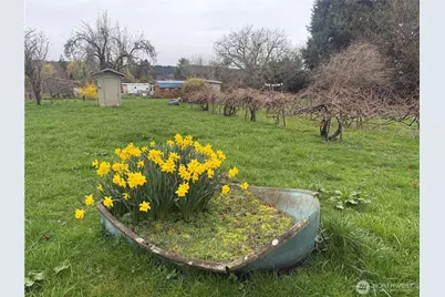 35 Hamilton Avenue, Quilcene, WA 98376 - Photo 5