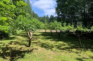 12832 Hunter Rd SW, Rochester, WA 98579 - Photo 29