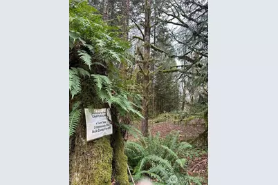 12832 Hunter Road SW, Rochester, WA 98579 - Photo 37