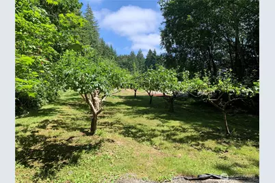 12832 Hunter Road SW, Rochester, WA 98579 - Photo 25
