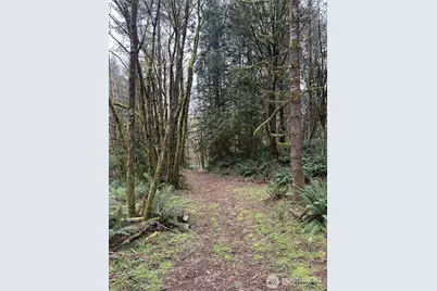 12832 Hunter Road SW, Rochester, WA 98579 - Photo 39