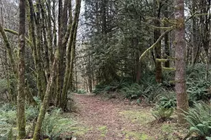 12832 Hunter Rd SW, Rochester, WA 98579 - Photo 39