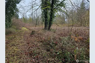 13036 188th Avenue SW, Rochester, WA 98579 - Photo 15