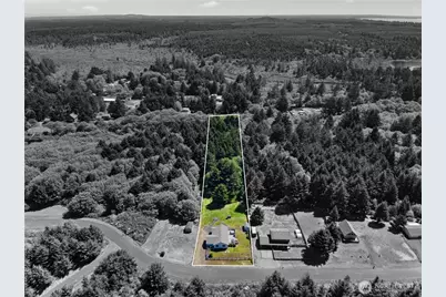 163 Ocean Boulevard, Ocean City, WA 98569 - Photo 33