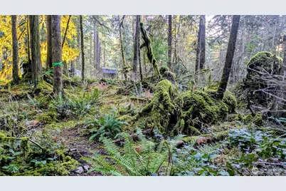0 W Cascade Drive #1-9/10, Marblemount, WA 98267 - Photo 13