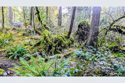 0 W Cascade Drive #1-9/10, Marblemount, WA 98267 - Photo 11