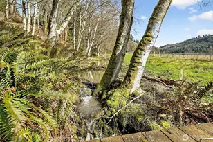 20070 Park Ridge Ln, Sedro Woolley, WA 98284 - Photo 37