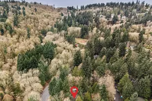 11404 8th Ave NW, Seattle, WA 98177 - Photo 39