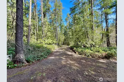 1111 Tarte Road, Friday Harbor, WA 98250 - Photo 11