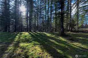 40815 Dorman Rd, Gold Bar, WA 98251 - Photo 21