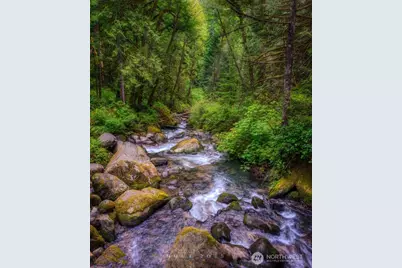 40815 Dorman Road, Gold Bar, WA 98251 - Photo 25