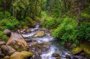 40815 Dorman Rd, Gold Bar, WA 98251 - Photo 25