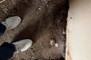 7301 NE 175th, Kenmore, WA 98028 - Photo 5