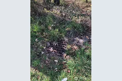 1919 Berry Street NE, Olympia, WA 98506 - Photo 13