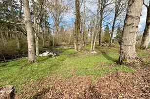 3984 Bancroft Rd, Bellingham, WA 98225 - Photo 39