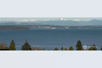 7341 California Avenue SW, Seattle, WA 98136 - Photo 3