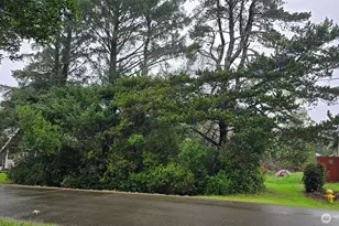 248 Wishkah St, Ocean Shores, WA 98569 - Photo 1