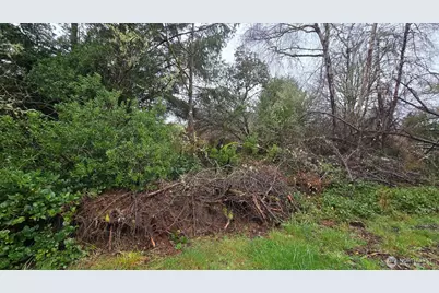 248 Wishkah Street, Ocean Shores, WA 98569 - Photo 3