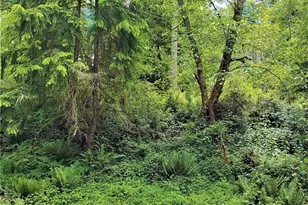 11909 11911 Country Club Dr, Anderson Island, WA 98303 - Photo 1