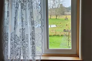 145 Oneill Rd, Elma, WA 98541 - Photo 23