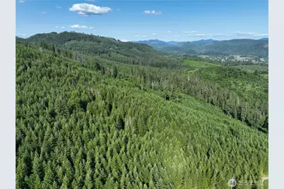 0 NE 206th Avenue, Amboy, WA 98601 - Photo 7