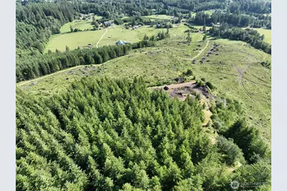 0 NE 206th Avenue, Amboy, WA 98601 - Photo 15