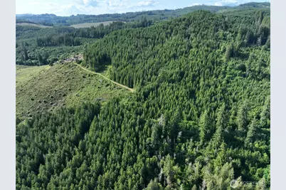 0 NE 206th Avenue, Amboy, WA 98601 - Photo 31