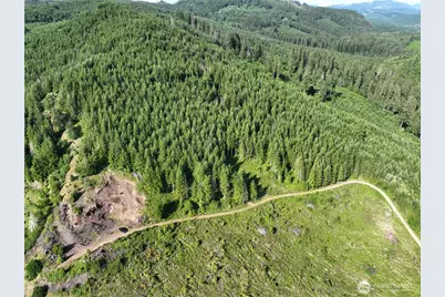 0 NE 206th Avenue, Amboy, WA 98601 - Photo 23