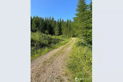 0 NE 206th Avenue, Amboy, WA 98601 - Photo 37