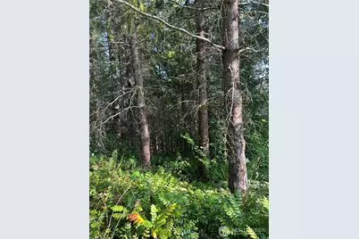 0 NE 206th Avenue, Amboy, WA 98601 - Photo 39