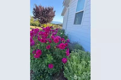 73 Cobb Circle, Sequim, WA 98382 - Photo 9