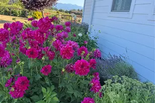 73 Cobb Cir, Sequim, WA 98382 - Photo 9