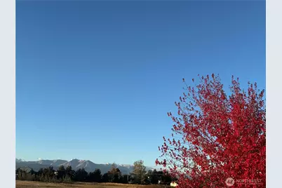 73 Cobb Circle, Sequim, WA 98382 - Photo 21