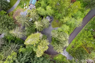 34208 343rd Ave Ct E, Ashford, WA 98304 - Photo 15