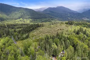 34208 343rd Ave Ct E, Ashford, WA 98304 - Photo 13