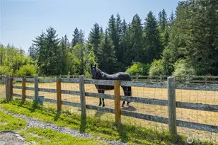 137 Bravo Rd, Port Angeles, WA 98362 - Photo 33