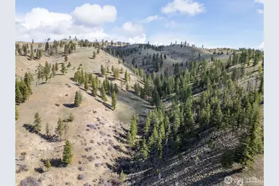 12 Mile Entiat River Road, Entiat, WA 98822 - Photo 15