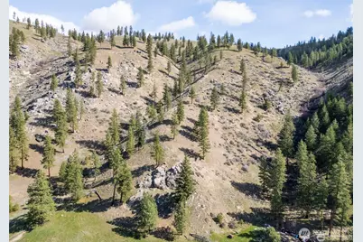 12 Mile Entiat River Road, Entiat, WA 98822 - Photo 13