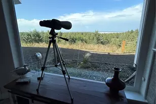 2815 Willows Rd, Seaview, WA 98644 - Photo 9