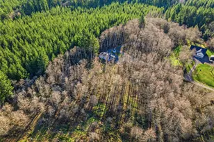 142 Wild Daisy Dr, Ariel, WA 98603 - Photo 29