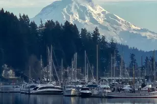 3901 Harborview Dr, Gig Harbor, WA 98332 - Photo 21