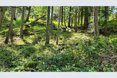 0 Lot 2 Harborview Lane, Orcas Island, WA 98243 - Photo 17