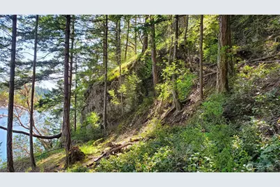 0 Lot 2 Harborview Lane, Orcas Island, WA 98243 - Photo 7