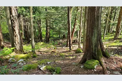 0 Lot 2 Harborview Lane, Orcas Island, WA 98243 - Photo 11