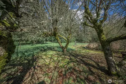 4110 Baker Ames Road NE, Olympia, WA 98506 - Photo 15