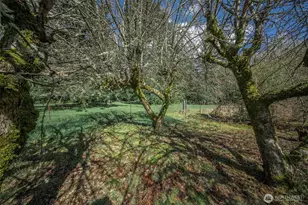 4110 Baker Ames Rd NE, Olympia, WA 98506 - Photo 15