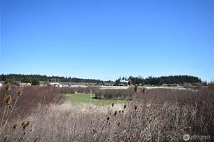 260 Secluded Way, Sequim, WA 98382 - Photo 27